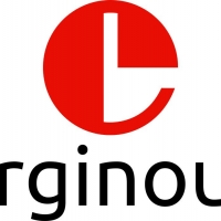 Erginous Technologies