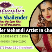 Best Mehandi Artists In Chandigarh | SHAILENDER