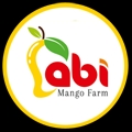 Order Organic Farm Fresh Mangoes Online