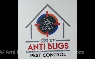 ANTI BUGS PEST CONTROL-Pest control service in Gwalior